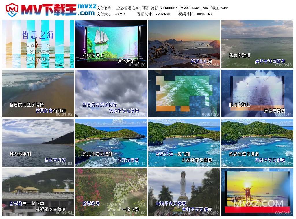 王觉-哲思之海_国语_流行_YE600627